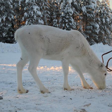 Puolukkamaan Pirtit Vila Lampsijärvi Exterior foto