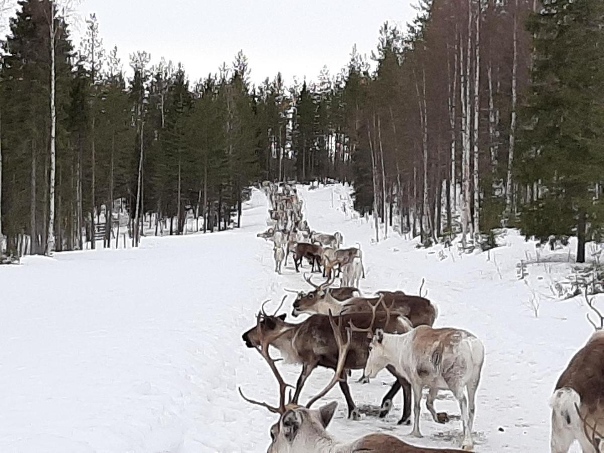 Puolukkamaan Pirtit Vila Lampsijärvi Exterior foto