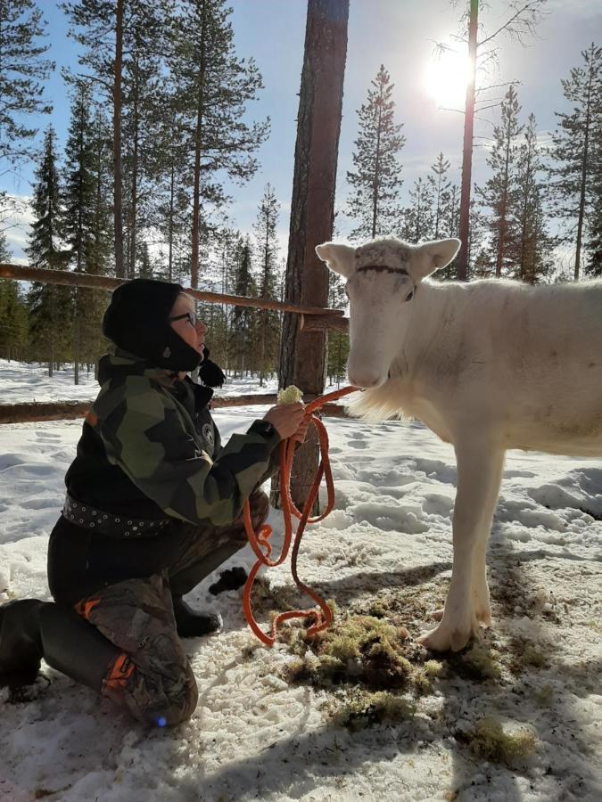 Puolukkamaan Pirtit Vila Lampsijärvi Exterior foto