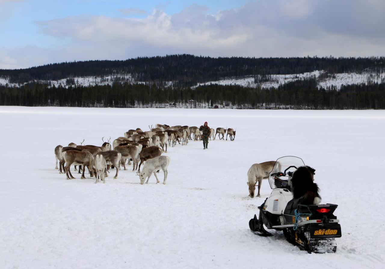 Puolukkamaan Pirtit Vila Lampsijärvi Exterior foto