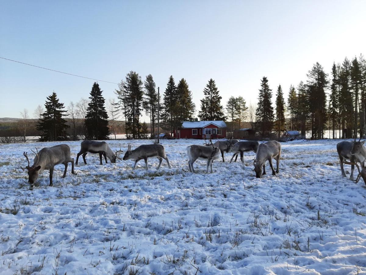 Puolukkamaan Pirtit Vila Lampsijärvi Exterior foto