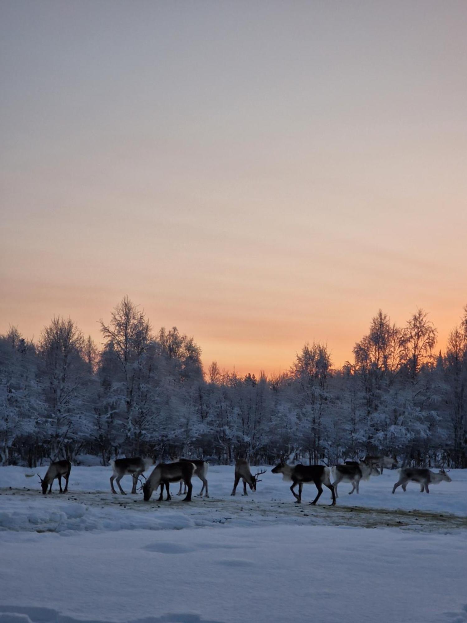 Puolukkamaan Pirtit Vila Lampsijärvi Exterior foto