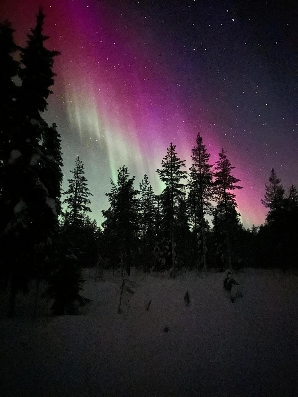 Puolukkamaan Pirtit Vila Lampsijärvi Exterior foto