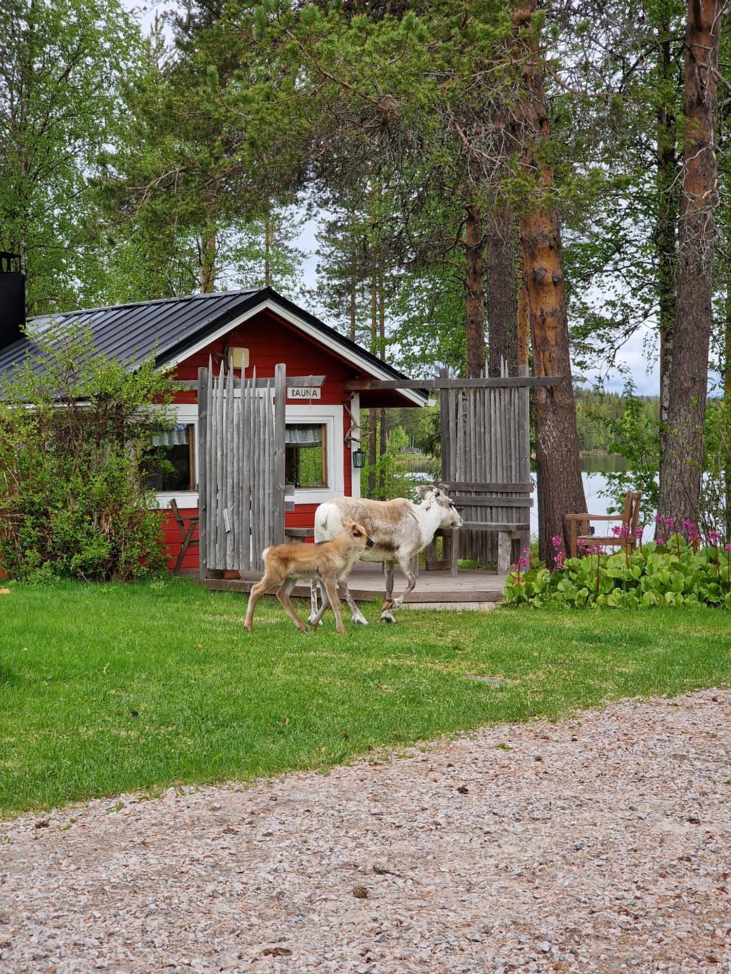 Puolukkamaan Pirtit Vila Lampsijärvi Exterior foto