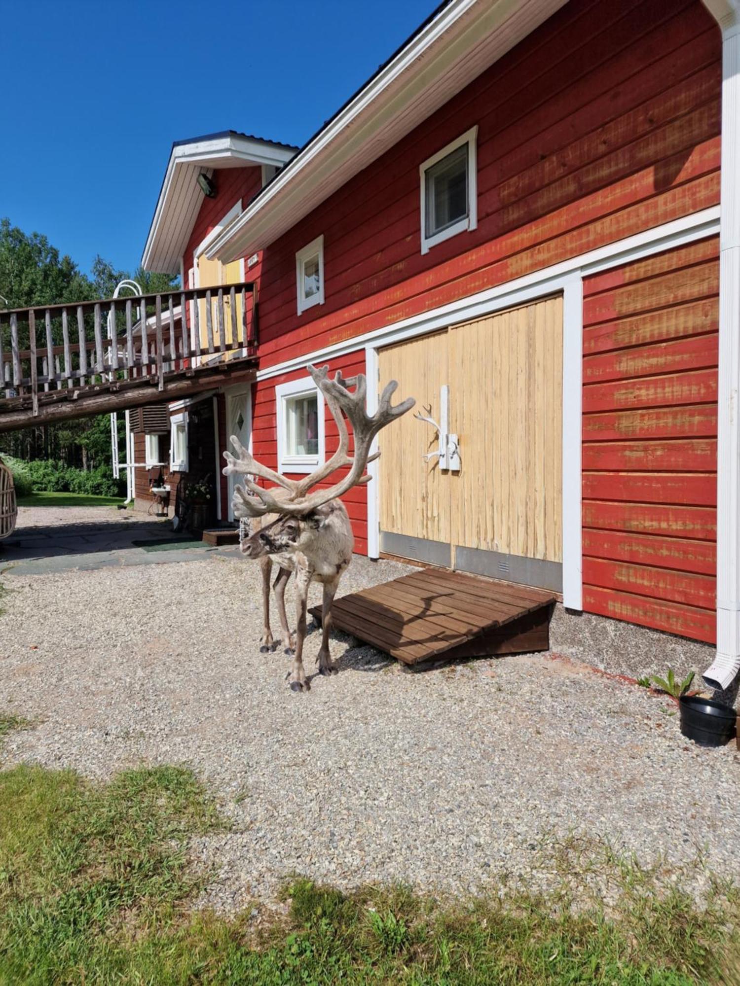 Puolukkamaan Pirtit Vila Lampsijärvi Exterior foto