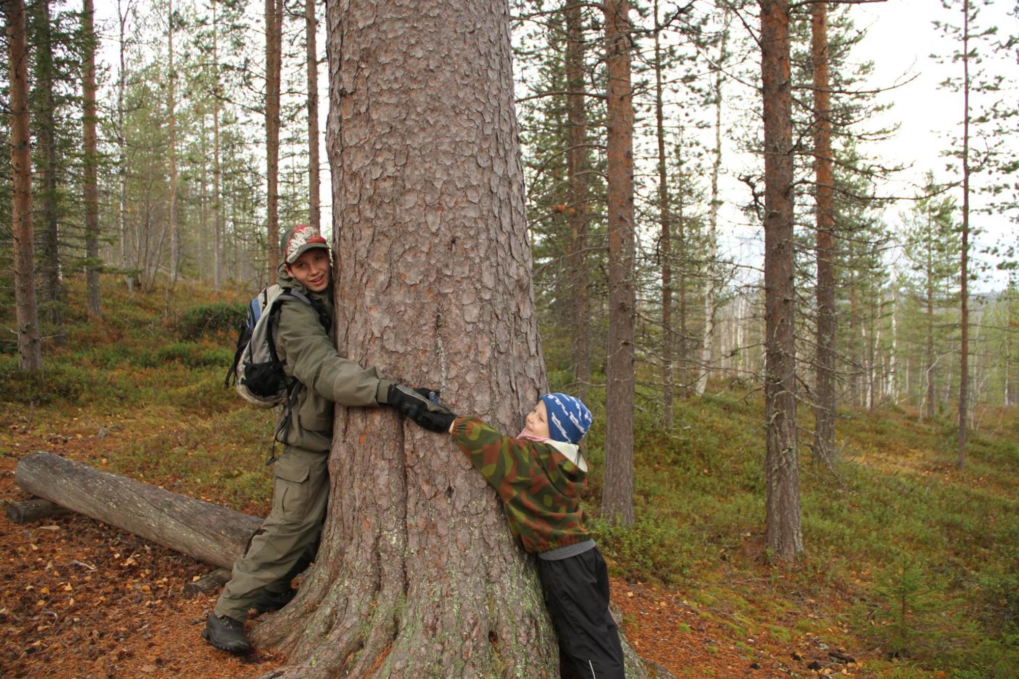 Puolukkamaan Pirtit Vila Lampsijärvi Exterior foto