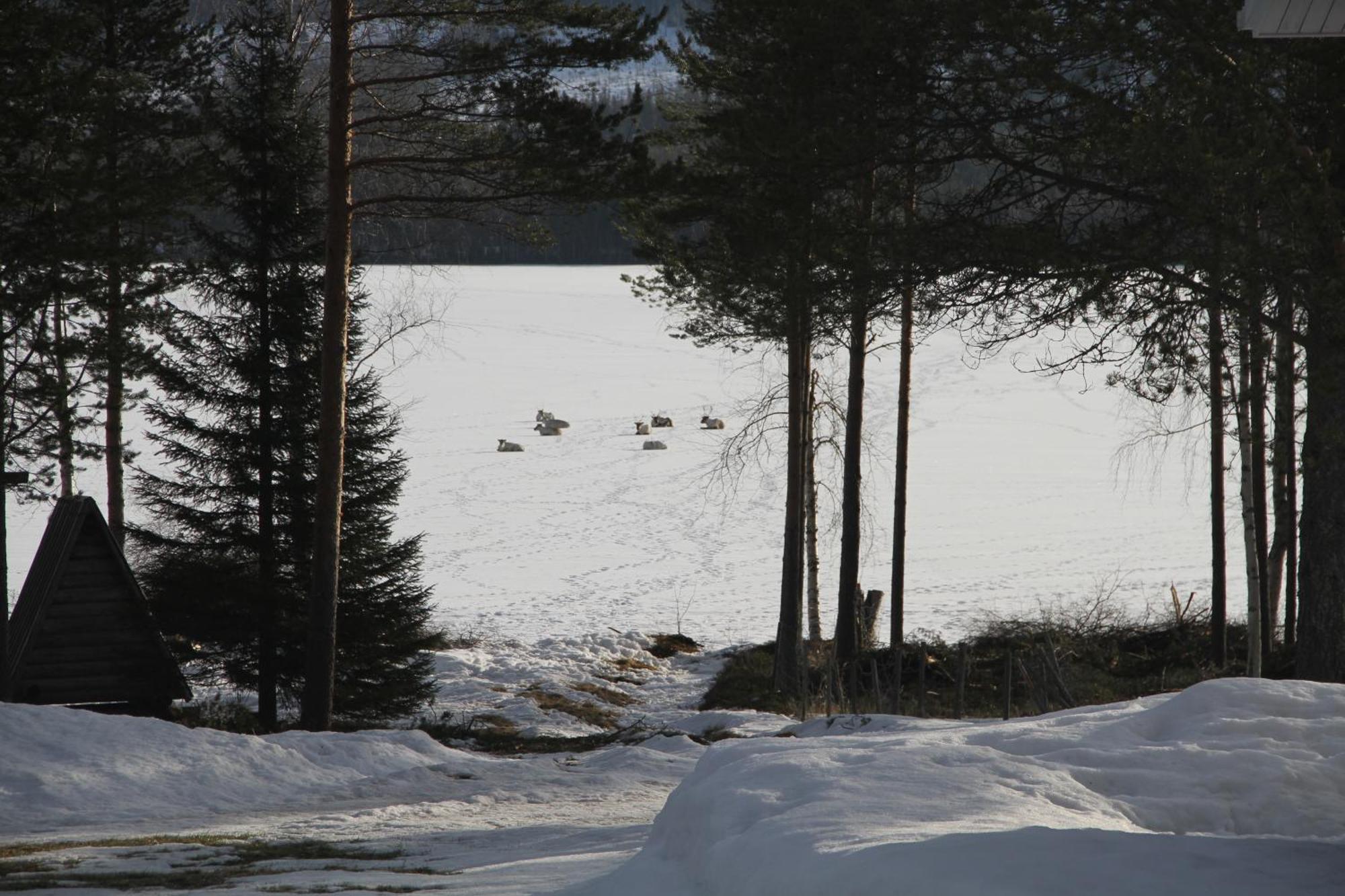 Puolukkamaan Pirtit Vila Lampsijärvi Exterior foto