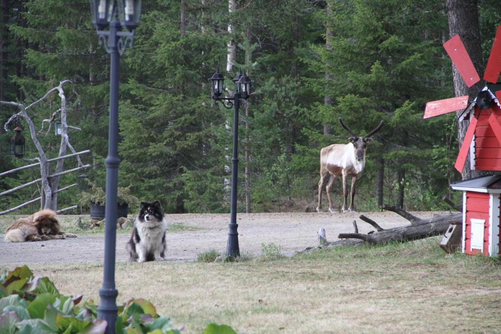 Puolukkamaan Pirtit Vila Lampsijärvi Quarto foto